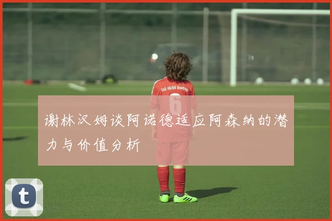 谢林汉姆谈阿诺德适应阿森纳的潜力与价值分析